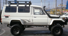 FLARE REAR DELUXE FIBREGLASS WHITE PAIR