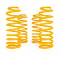 XGS COIL SPRINGS FRONT RAISED <40KG PAIR