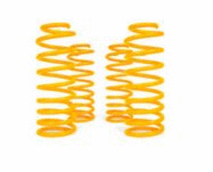 XGS COIL SPRINGS REAR RAISED 200KG PAIR