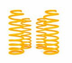 XGS COIL SPRINGS REAR RAISED 150KG PAIR