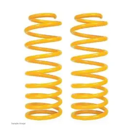 XGS COIL SPRINGS REAR RAISED 120KG/50KG (PAIR)