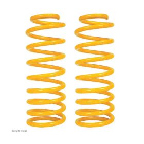 XGS COIL SPRINGS REAR RAISED 120KG/50KG (PAIR)