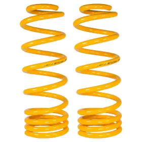 XGS COIL SPRINGS REAR RAISED 100KG / 250KG (PAIR)