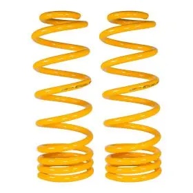 XGS COIL SPRINGS REAR RAISED 225-275KG (PAIR)