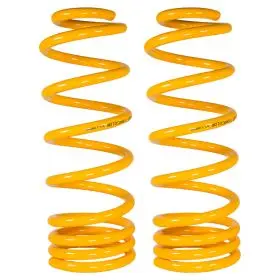 XGS COIL SPRINGS REAR RAISED PROGRESSIVE 100KG (PAIR)