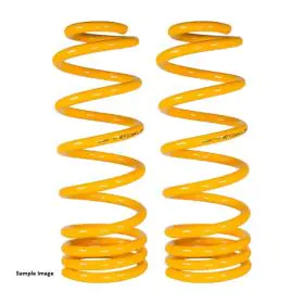 XGS COIL SPRINGS REAR RAISED PROGRESSIVE 250KG (PAIR)