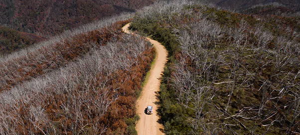 The bushfires of 2020 caused havoc in the high country.