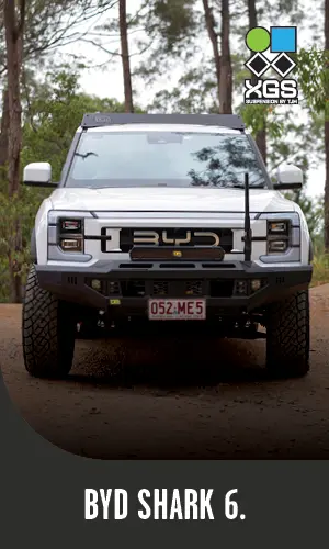 BYD Shark 6