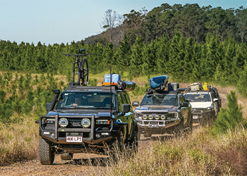 Spring into Easter Sale<br>FREE gear. 20% OFF Canopies + more!