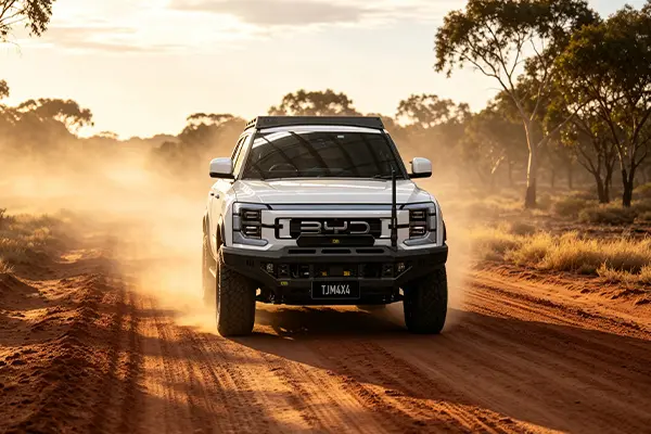 bydsuspension